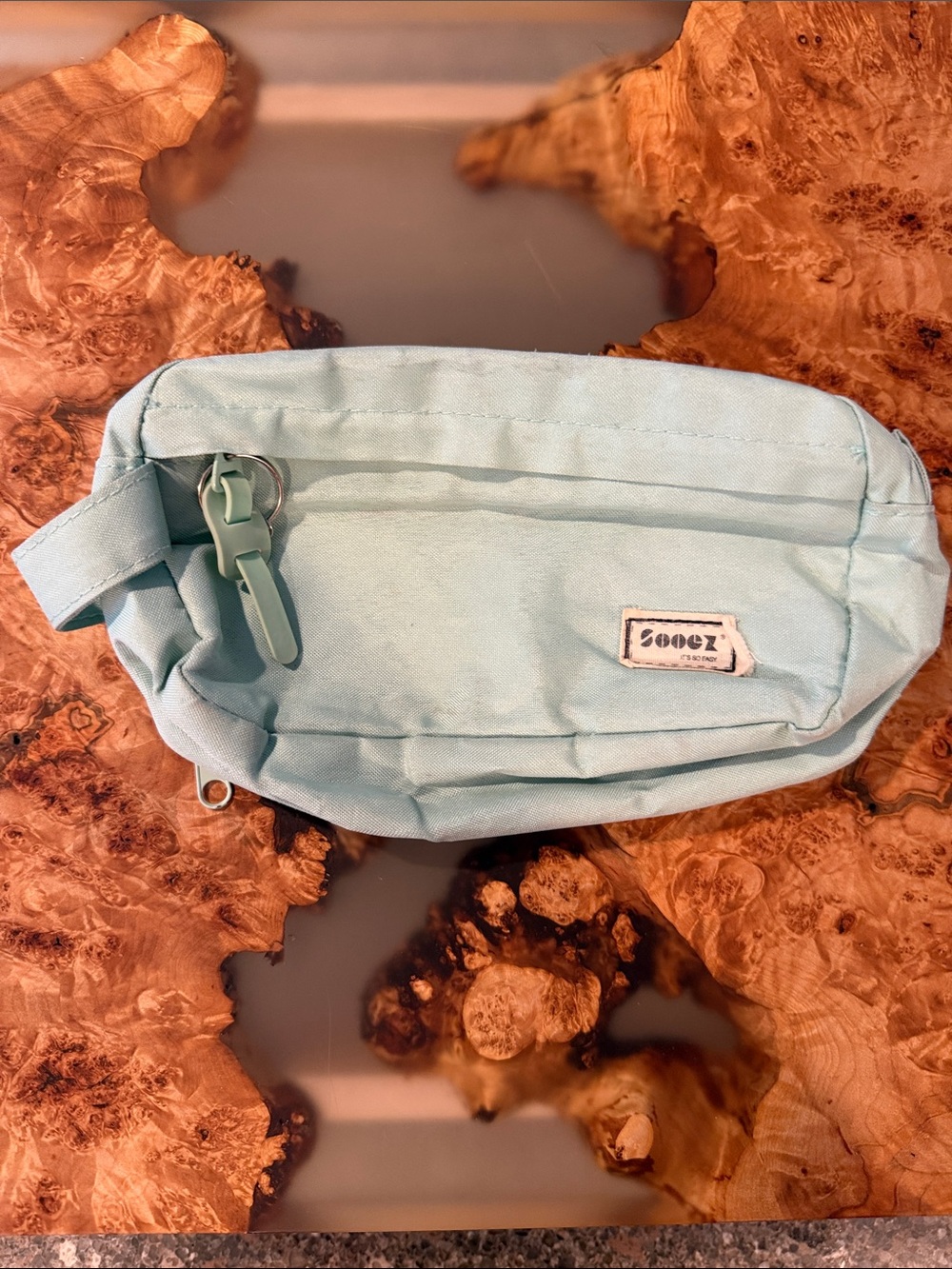 Mint Canvas Mini Waist Bag with Front Pocket